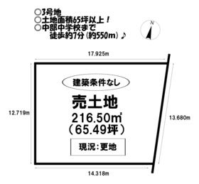 概観画像