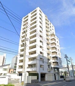 概観画像