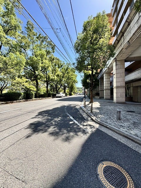 通りに並ぶ街路樹が、季節の移ろいを身近に感じさせてくれます♪歩きやすく整備された道が、快適な毎日を支えます♪