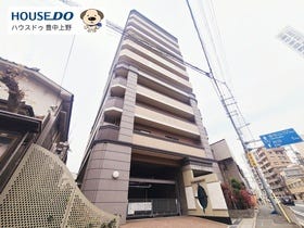 概観画像