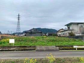 概観画像