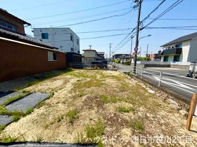 概観画像