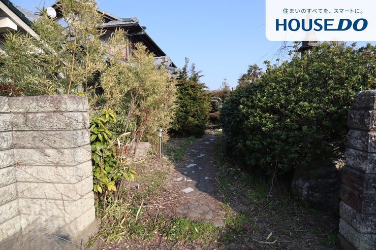 手入れすれば素敵なお庭になりそう