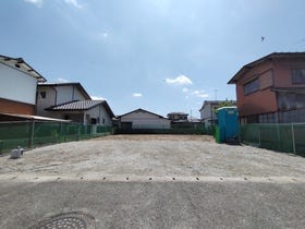概観画像