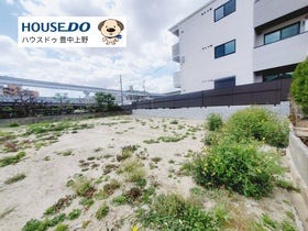 概観画像
