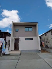 概観画像