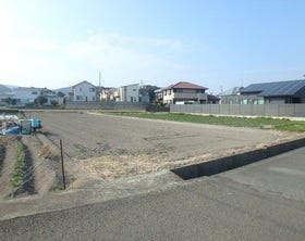 概観画像