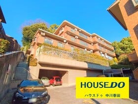 概観画像