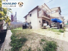 概観画像