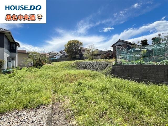 (2025年4月15日 撮影)