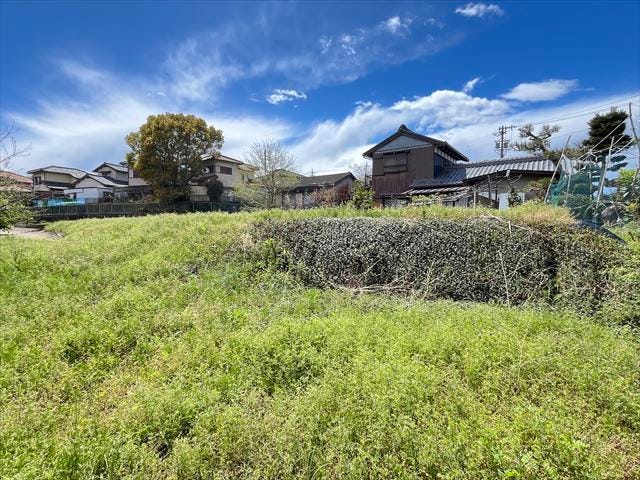 (2025年4月15日 撮影)