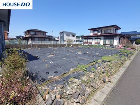 概観画像