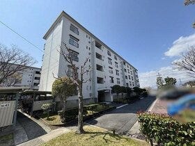 概観画像