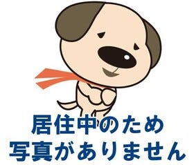 概観画像