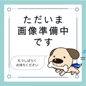 熊本市中央区島崎１丁目