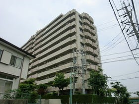 概観画像