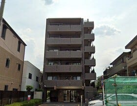概観画像