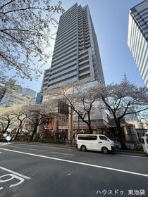 概観画像