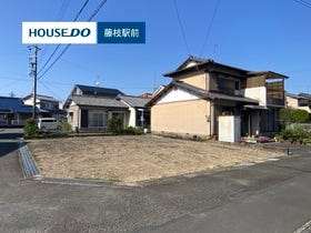 概観画像