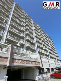 概観画像