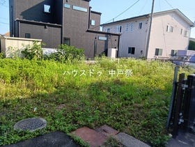 概観画像