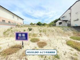 概観画像