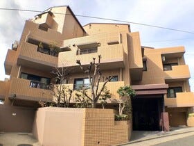 概観画像