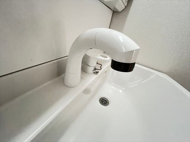 ハンドシャワー付き洗面台。広い洗面ボウルでは楽にシャンプーや手洗い洗濯ができます。