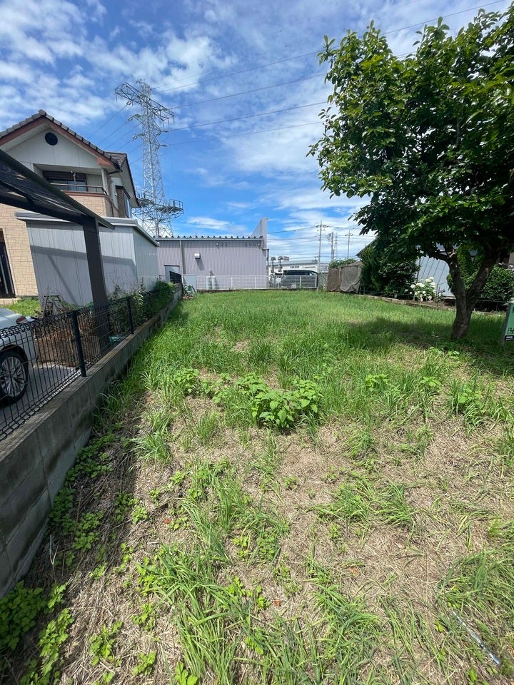 現地写真(2025年6月撮影)