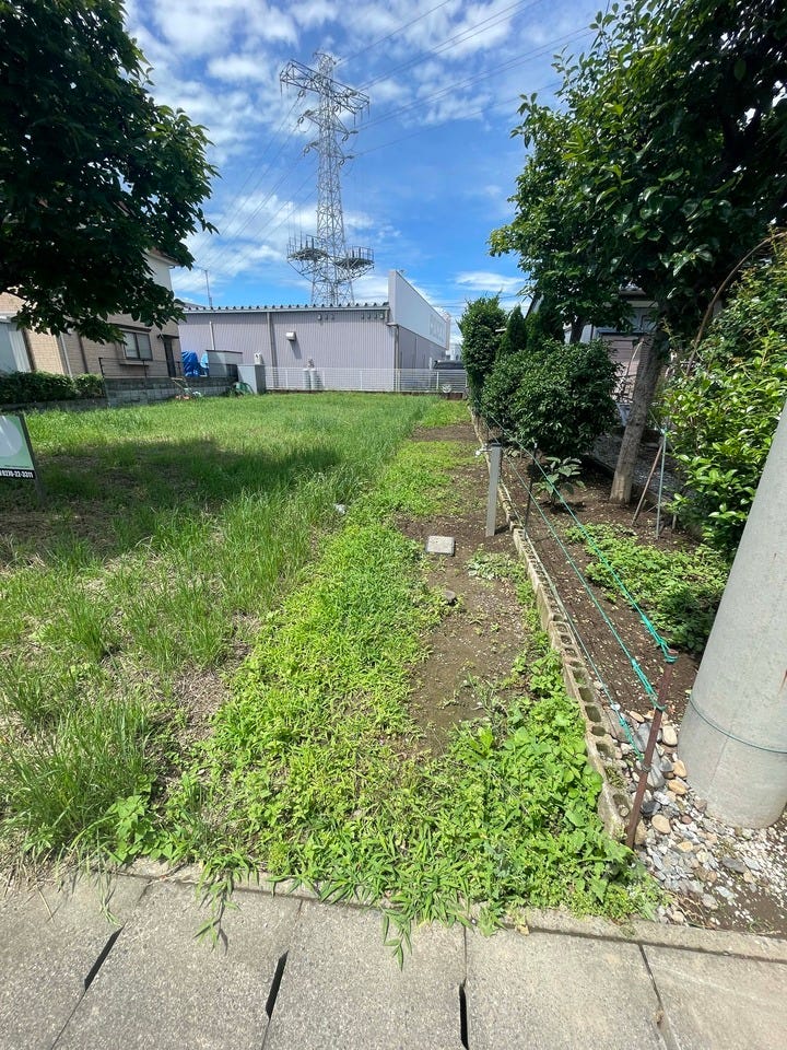 現地写真(2025年6月撮影)
