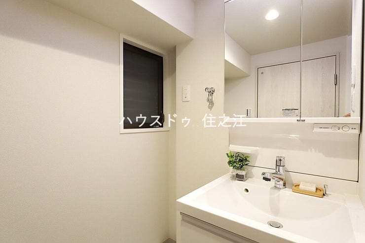 大きな三面鏡付きの洗面台です。たっぷりの収納を設けたシャワー付です