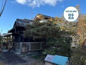 概観画像