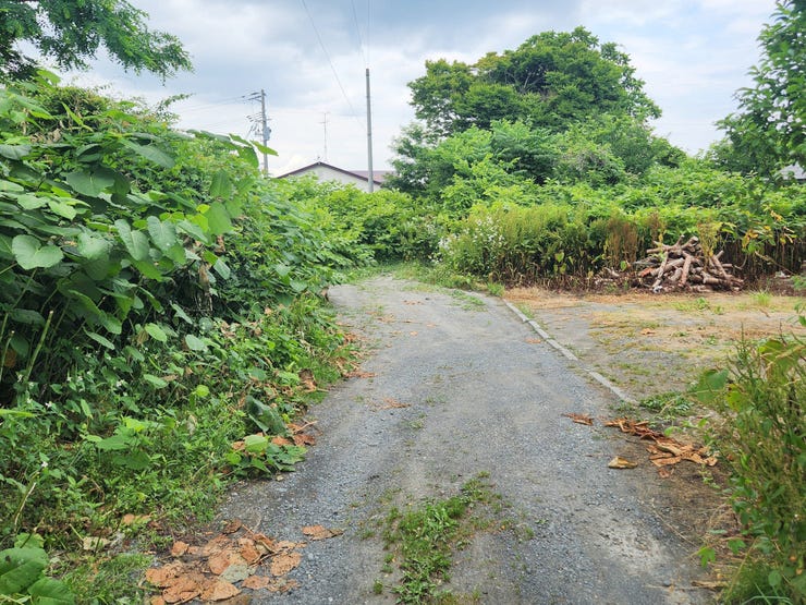 現地(2025年7月)撮影
◎建築条件無し◎
詳細は、ハウスドゥ  八戸下長までお気軽にお問い合わせくださいませ♪