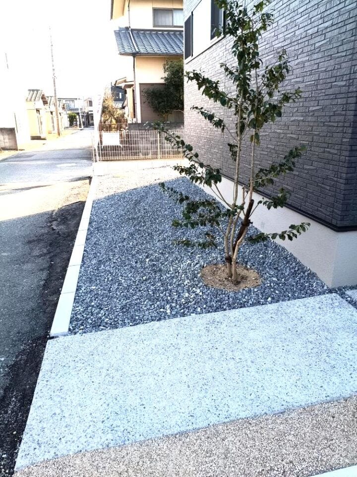 住まいの印象をぐっと引き立てるシンボルツリー。四季の移ろいを感じながら、帰るたびにほっと心がほどけるやさしい存在です。