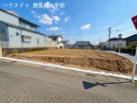 概観画像