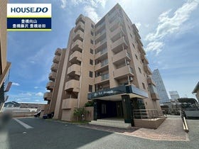 概観画像