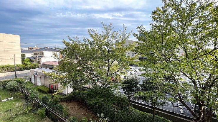 木々の緑に癒される眺望です