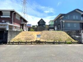 概観画像