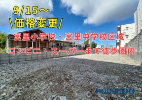 概観画像