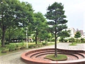 共用公園