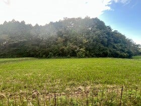 甲賀市甲南町稗谷