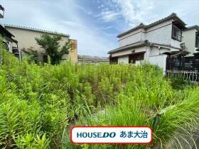 概観画像