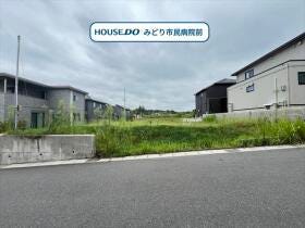 概観画像