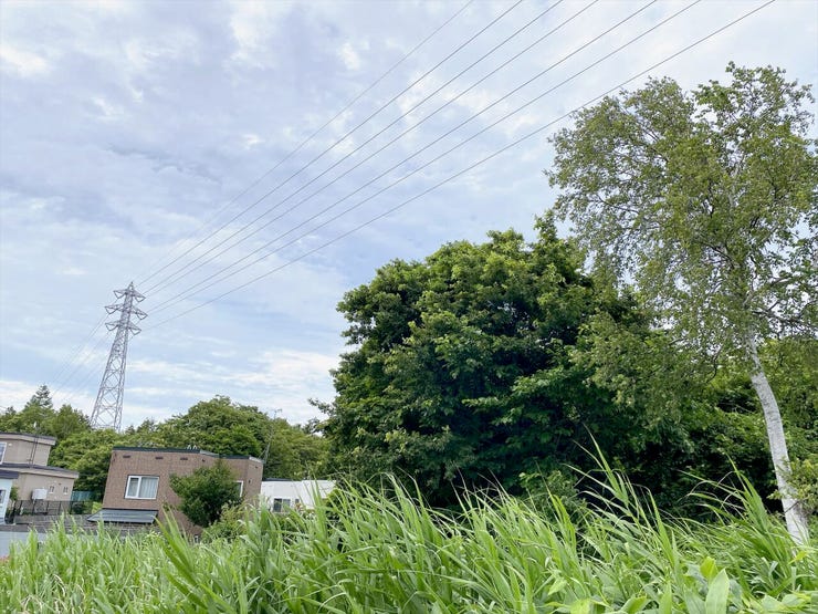 高圧線通過部分を含むため、建築計画時は制限内容の確認が必要です。