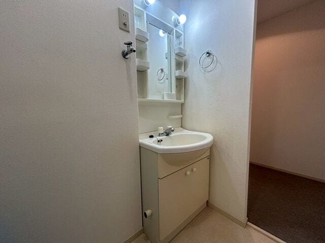 忙しい朝もおまかせ、洗髪洗面化粧台