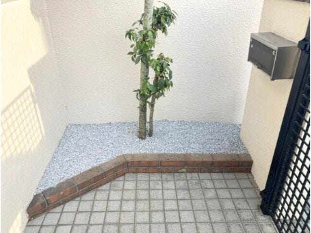 植物を植えたり、インテリア小物を置いたりとお好きにアレンジするのも楽しいですね。(2025年10月7日)