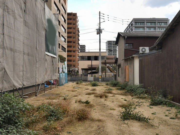 敷地内を北側より撮影