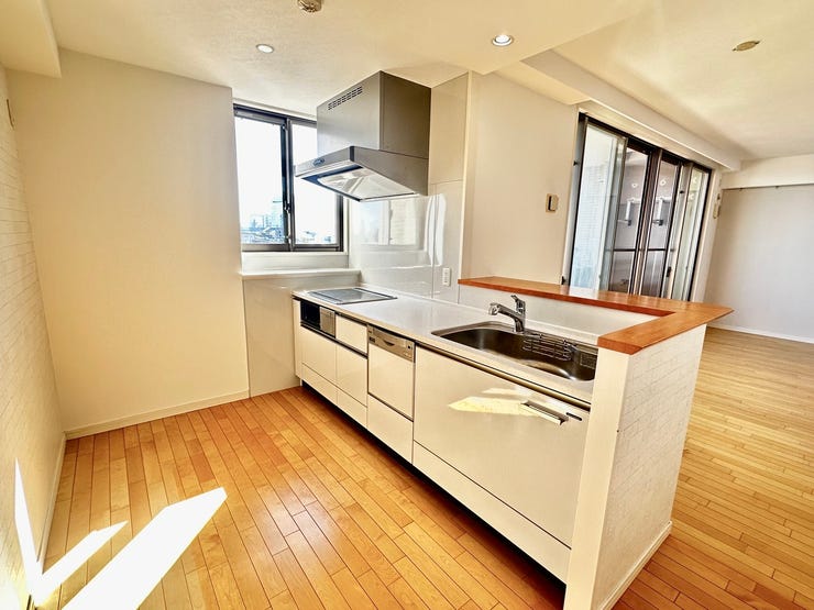 ゆとりあるサイズのシステムキッチン。遠くの景色を眺めながらお料理できるのが魅力です。