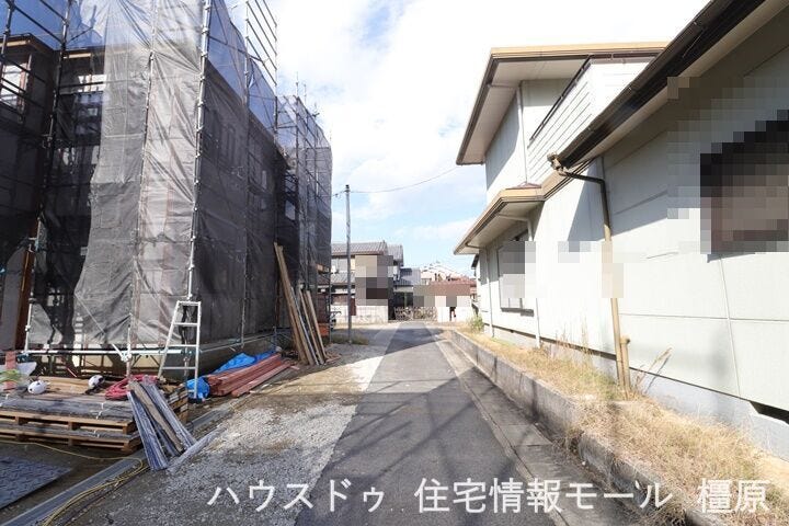 2025年11月10日撮影