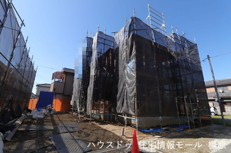 (2025年10月17日撮影)